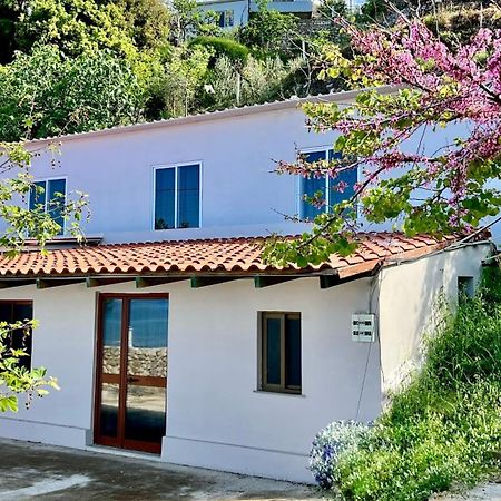 Villa Kate Борш Экстерьер фото